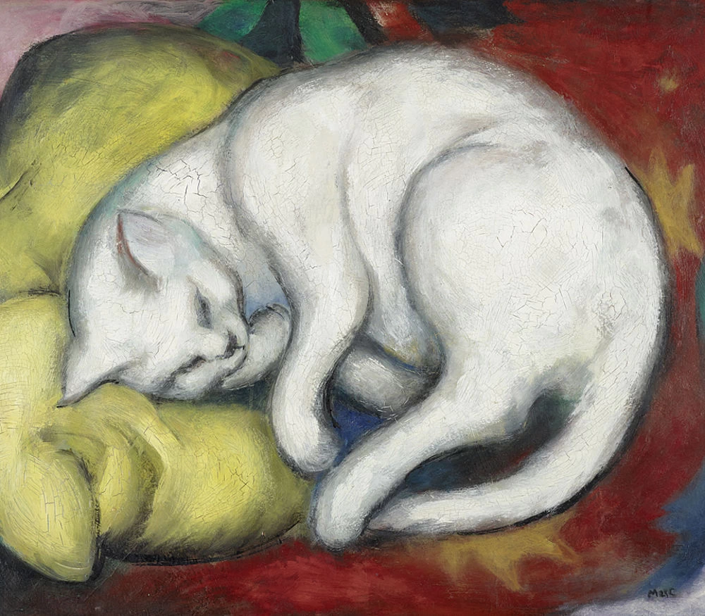 Gatto su un cuscino giallo - Museo d'arte di Moritzburg (Halle)